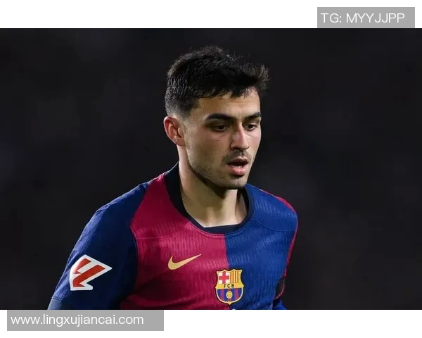 佩德里：年轻天才的崛起与巴萨未来的希望之光